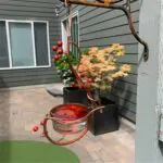 Cranberry Hummingbird Feeder