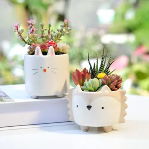 Cute Gardening Ceramic Flower Pot – Perfect for Succulents, Cacti, and Air Plants