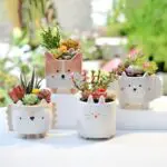 Cute Gardening Ceramic Flower Pot