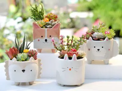 Cute Gardening Ceramic Flower Pot – Perfect for Succulents, Cacti, and Air Plants
