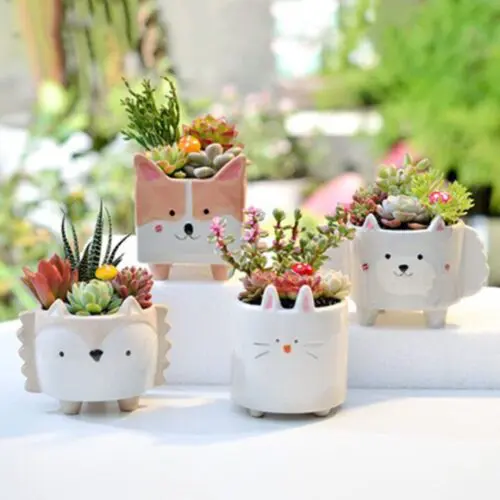 Cute Gardening Ceramic Flower Pot – Perfect for Succulents, Cacti, and Air Plants