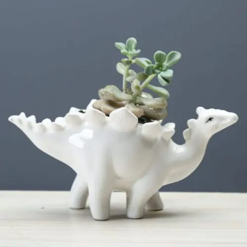 Dinosaur Succulent Flower Pot – Handmade Ceramic Desktop Planter