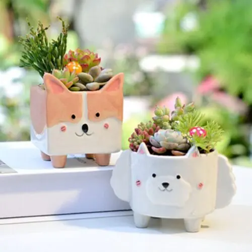 Cute Gardening Ceramic Flower Pot – Perfect for Succulents, Cacti, and Air Plants