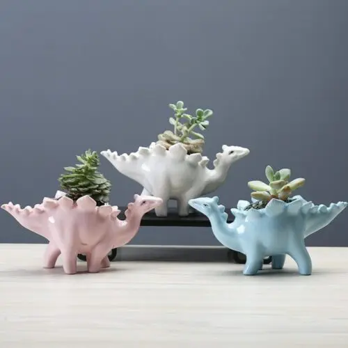 Dinosaur Succulent Flower Pot – Handmade Ceramic Desktop Planter