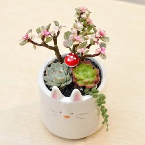 Cute Gardening Ceramic Flower Pot – Perfect for Succulents, Cacti, and Air Plants