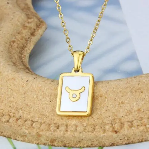 Unique Stainless Steel Zodiac Necklace – Sleek Symbolic Design for Modern Style
