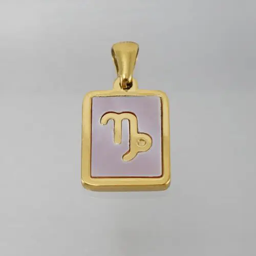 Unique Stainless Steel Zodiac Necklace – Sleek Symbolic Design for Modern Style