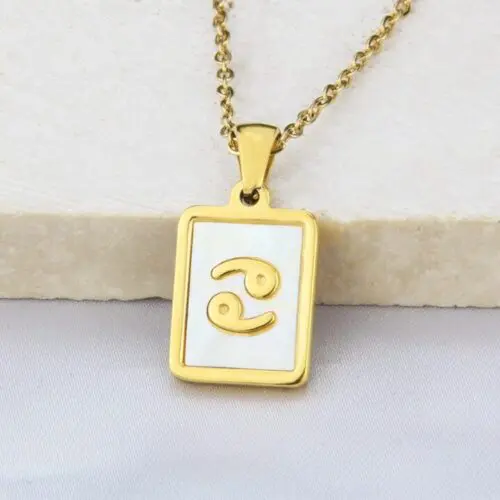 Unique Stainless Steel Zodiac Necklace – Sleek Symbolic Design for Modern Style