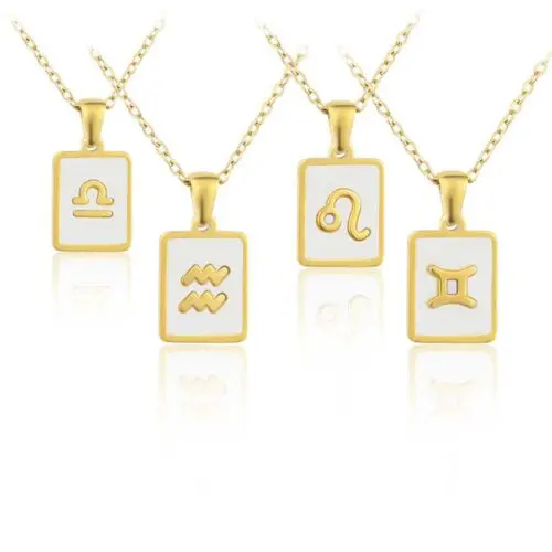 Unique Stainless Steel Zodiac Necklace – Sleek Symbolic Design for Modern Style
