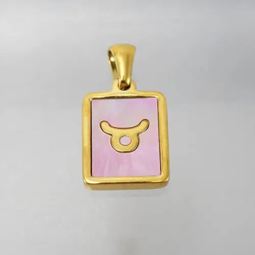 Unique Stainless Steel Zodiac Necklace – Sleek Symbolic Design for Modern Style