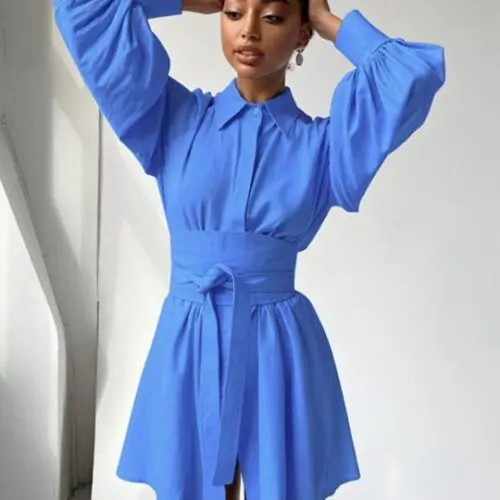 Commuter Dress with Stylish Belt