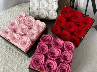 9pcs Eternal Rose Gift Set – Forever Roses in Acrylic Display Box for Valentine’s, Mother’s Day & Birthdays|Preserved & Immortalized for A Year -Includes "FOREVER LOVE" White Box with Clear Viewing Lid, Bouquet Accessories