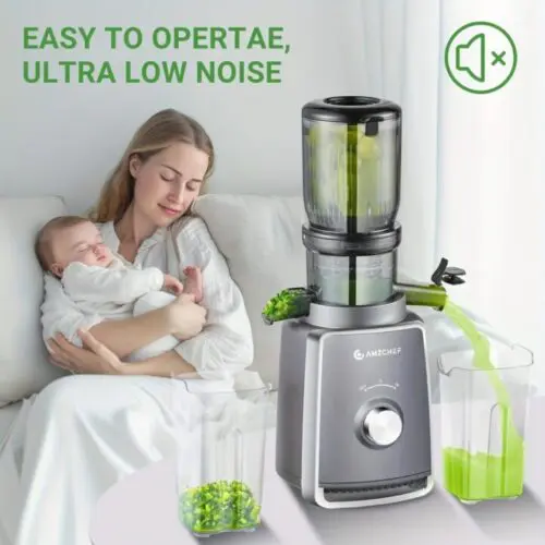 Wide Cold Press Juicer - 4-Inch Feeding Chute, High Yield Juice, 250W Silver Juicer Machine, Two Upgraded Filter, High Yield Juice