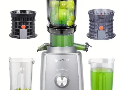 Wide Cold Press Juicer - 4-Inch Feeding Chute, High Yield Juice, 250W Silver Juicer Machine, Two Upgraded Filter, High Yield Juice
