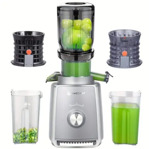 Wide Cold Press Juicer - 4-Inch Feeding Chute, High Yield Juice, 250W Silver Juicer Machine, Two Upgraded Filter, High Yield Juice