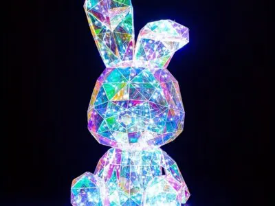 Magic Glowing Rabbit - USB-Powered Party Decor & Glow-in-the-Dark Gift for Kids, Weddings, Birthdays & Holidays