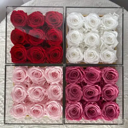 9pcs Eternal Rose Gift Set – Forever Roses in Acrylic Display Box for Valentine’s, Mother’s Day & Birthdays|Preserved & Immortalized for A Year -Includes "FOREVER LOVE" White Box with Clear Viewing Lid, Bouquet Accessories