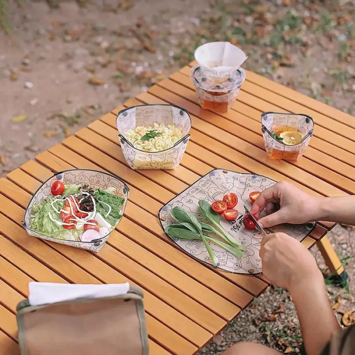 Foldable Outdoor Tableware Set / Portable and Heatproof Plate/ Transparent Bowl, Food /Grade Cup