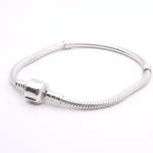 Authentic Tibetan Silver Snake Chain Bracelet Bangle 16-23cm – DIY Charms Compatible | Perfect Gift for Women