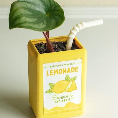 Adorable Kawaii Juice Box Resin Flowerpot- Bring Cheerful Charm to Your Space!