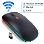 RGB Wireless Mouse: 2.4G, Silent, Rechargeable, Ergonomic, for PC Laptop Gaming