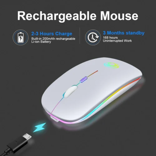 RGB Wireless Mouse: 2.4G, Silent, Rechargeable, Ergonomic, for PC Laptop Gaming