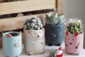 Cute Cartoon Animal Ceramic Flower Pots – Kawaii Pig and Hedgehog Succulent Planters, Decorative Garden Accessories