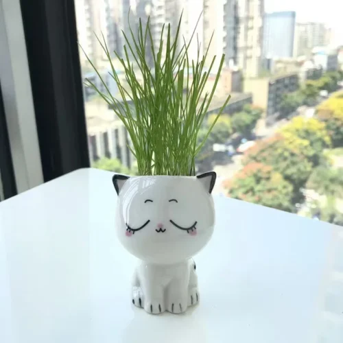 Ceramic Flowerpot – Mini Cat-Shaped Cartoon Cute Potted Plant for Desktop Décor