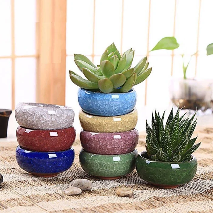 Cute Ice-Crack Glaze Flower Ceramics Succulent Planter: Mini Plant Pot for Garden Flowerpot, Ideal for Home and Office Decor