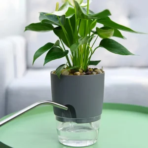 Transparent Double Layer Plastic Flower Pot: Self-Watering Flowerpot with Cotton Rope Watering System and Injection Port