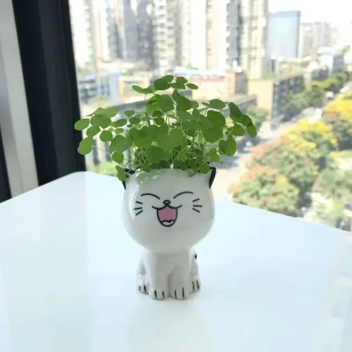 Ceramic Flowerpot – Mini Cat-Shaped Cartoon Cute Potted Plant for Desktop Décor