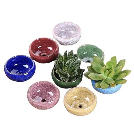 Cute Ice-Crack Glaze Flower Ceramics Succulent Planter: Mini Plant Pot for Garden Flowerpot, Ideal for Home and Office Decor