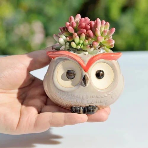 Imitation Purple Clay Flower Pots – Ideal for Succulent Plants and Orchids