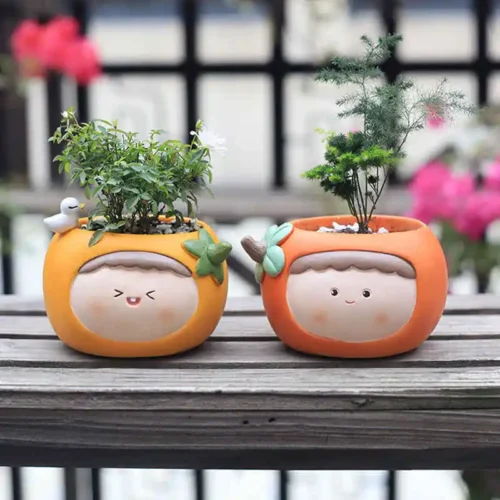 Adorable Cartoon Indoor and Outdoor Flower Pot – Mini Resin Succulent Flower Pot