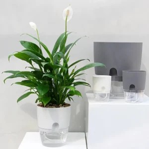 Self-Watering Flowerpot – Flower Pot with Cotton Rope Watering System