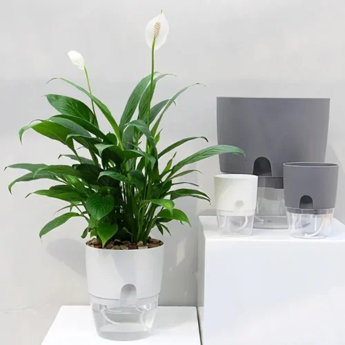 Self-Watering Flowerpot – Flower Pot with Cotton Rope Watering System