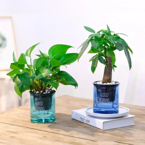 Automatic Water Absorbing Plant Flower Pot – Self-Watering Plastic Flowerpot