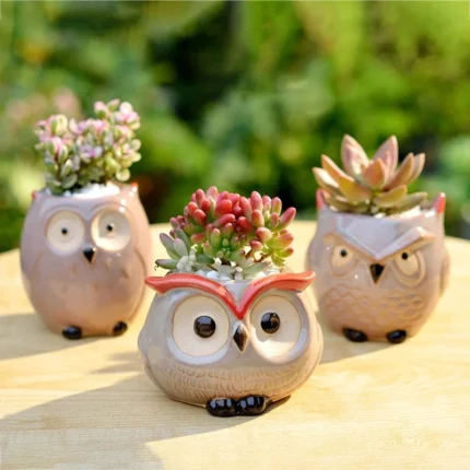 Cute Owl Ceramic Flower Pot: Perfect for Garden or Office Decoration