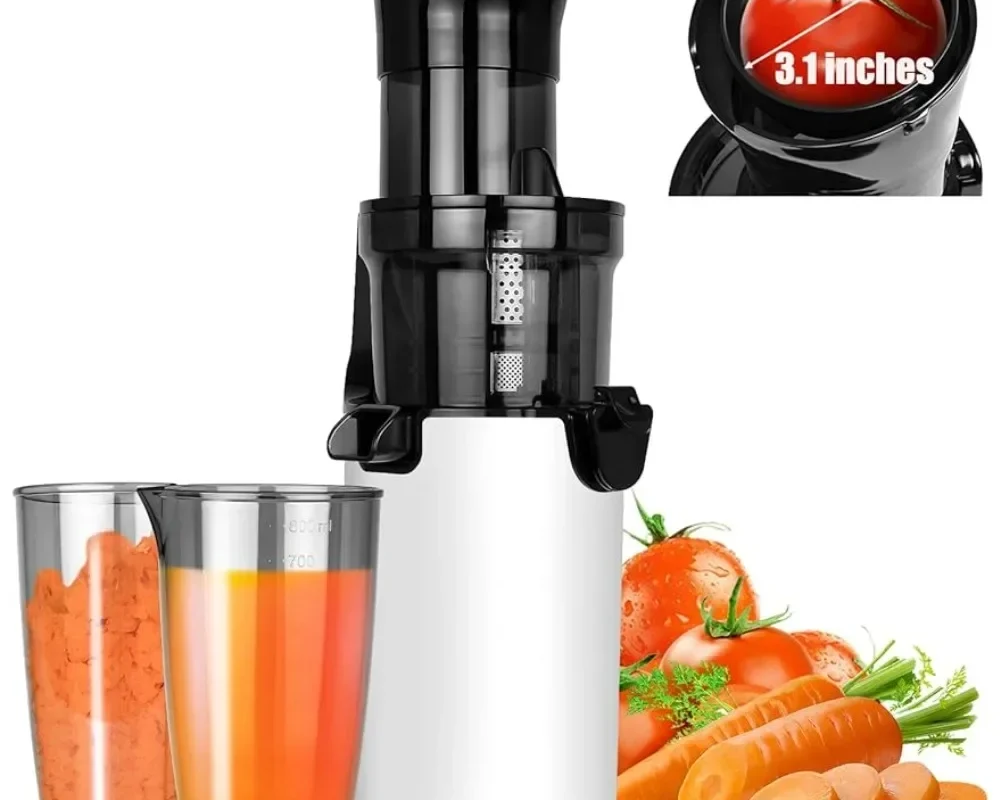 Cold Press Juicer Machine - Compact Masticating Juicer with 3.1" Wide Feed Chute, Slow Extractor for Fruits and Vegetables