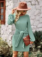 Waist-Slimming Long Sleeve Round Neck Dress