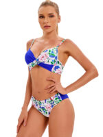 Chic Harmony-Sensual Color-Matching Bikini Set