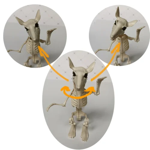Halloween Animal Skeleton Bones – Creepy Decoration and Horror Ornaments - Image 2