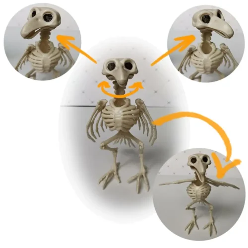 Halloween Animal Skeleton Bones – Creepy Decoration and Horror Ornaments - Image 3