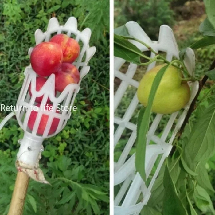 Garden Basket Fruit Picker - Plastic High-Altitude Fruit Picking Tool for Loquat and Bayberry