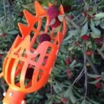 Garden Basket Fruit Picker - Plastic High-Altitude Fruit Picking Tool for Loquat and Bayberry