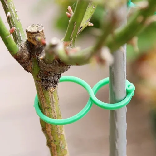 Plant Support Bands | Garden Vine Strapping Clips in S/L Sizes
