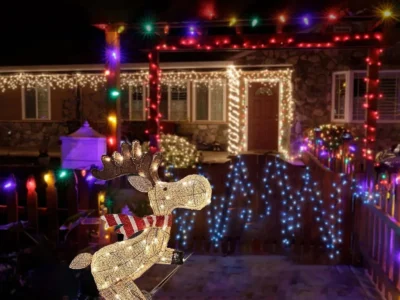 LED Deer Shaped Outdoor Yard Decorations – Christmas Deer with Lights, Snowy Decor for New Year