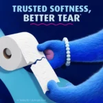 Charmin Ultra Soft Toilet Paper 24 Super Mega Rolls, 336 Sheets per Roll, 8064 Total Sheets