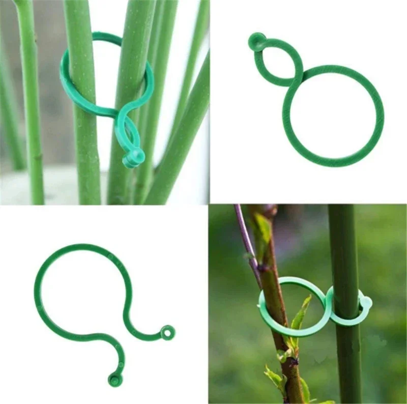 Garden Vine Strapping Clips - S/L Sizes Plant Buckle Ring Holders for Tomato & Garden Plants, Stand Tool & Decor Accessories