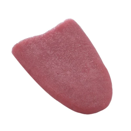 Halloween Decoration Funny Fake Tongue - Kids Birthday Party Magic Show Prop Prank Toy for Boys - Image 3